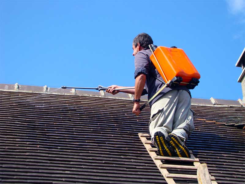 Nettoyage toiture - PROKEMPER COUVERTURE  :  artisan couvreur étancheur à Quimper et dans un rayon de 70 km aux alentours dans le Finistère (29) : nettoyage, protection anti-mousse toiture. Démoussage. Application d’un revêtement peinture hydrofuge coloré de toit. Artisan couvreur sur QUIMPER et dans un rayon de 70 km aux alentours, dans le Finistère (29).