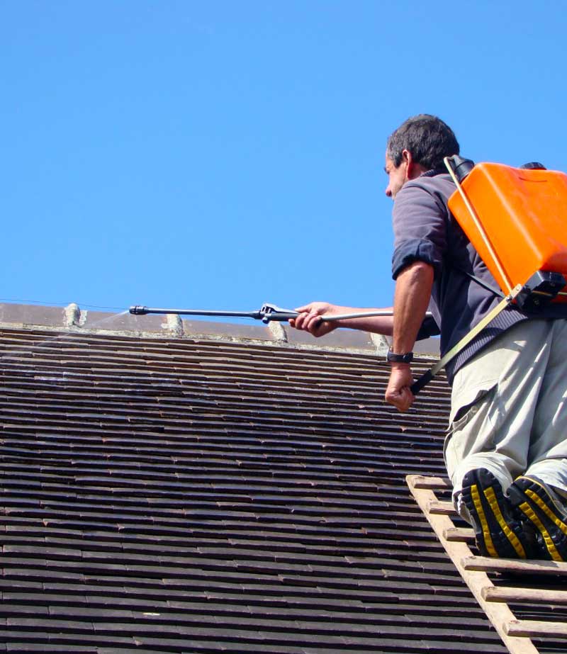 Nettoyage toiture - PROKEMPER COUVERTURE  :  artisan couvreur étancheur à Quimper et dans un rayon de 70 km aux alentours dans le Finistère (29) : nettoyage, protection anti-mousse toiture. Démoussage. Application d’un revêtement peinture hydrofuge coloré de toit. Artisan couvreur sur QUIMPER et dans un rayon de 70 km aux alentours, dans le Finistère (29).